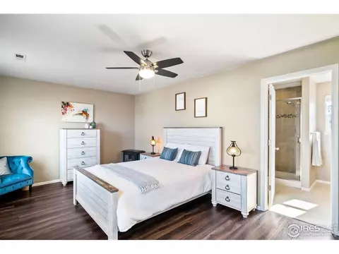 605 Botley Dr, Windsor, CO 80550 photo 11