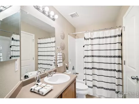 605 Botley Dr, Windsor, CO 80550 photo 18