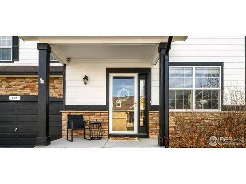 605 Botley Dr, Windsor, CO 80550 photo 28