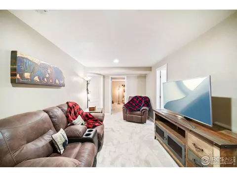 605 Botley Dr, Windsor, CO 80550 photo 20