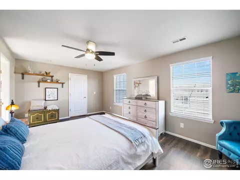 605 Botley Dr, Windsor, CO 80550 photo 12