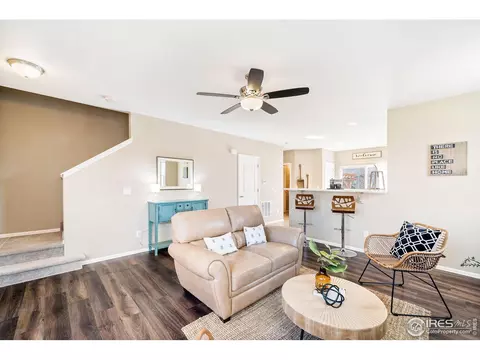 605 Botley Dr, Windsor, CO 80550 photo 10