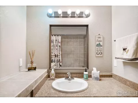 605 Botley Dr, Windsor, CO 80550 photo 23