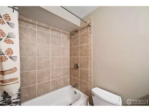 605 Botley Dr, Windsor, CO 80550 photo 22