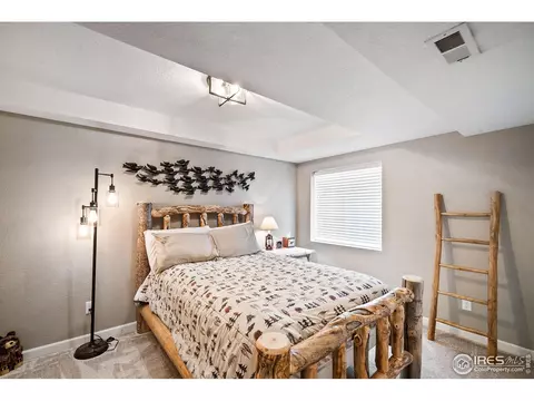 605 Botley Dr, Windsor, CO 80550 photo 21