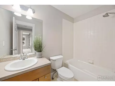1446 Fairfield Ave, Windsor, CO 80550 photo 19