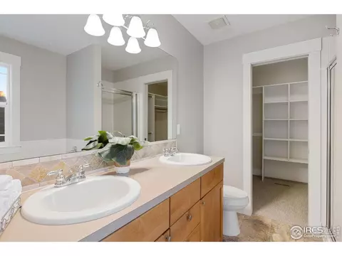 1446 Fairfield Ave, Windsor, CO 80550 photo 13