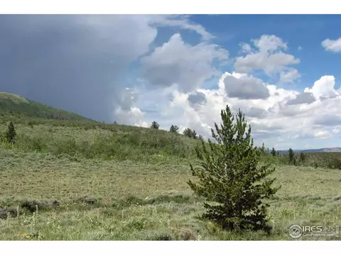 Undisclosed, Livermore, CO 80536