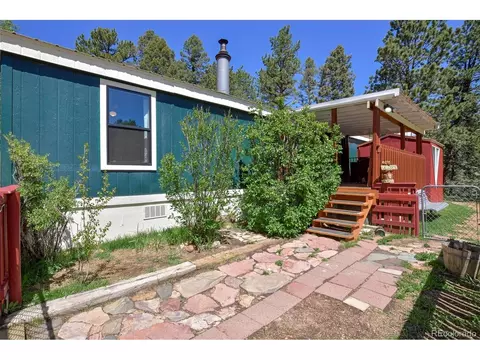63 Star View Trl, Divide, CO 80814