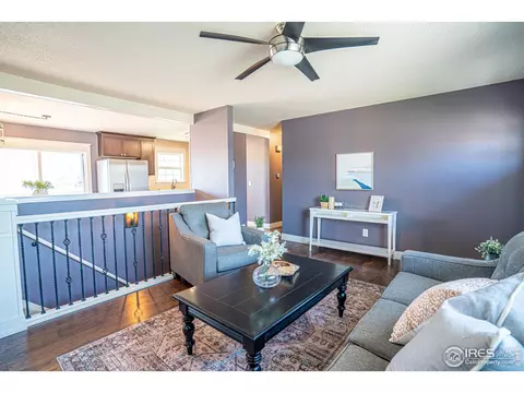 9 Orchid Ct, Windsor, CO 80550 photo 8