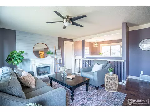 9 Orchid Ct, Windsor, CO 80550 photo 6