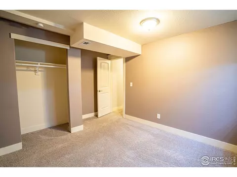 9 Orchid Ct, Windsor, CO 80550 photo 29