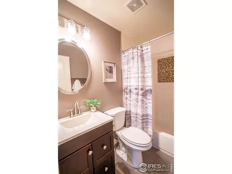 9 Orchid Ct, Windsor, CO 80550 photo 18