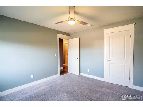 9 Orchid Ct, Windsor, CO 80550 photo 23
