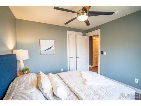 9 Orchid Ct, Windsor, CO 80550 photo 17