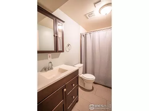 9 Orchid Ct, Windsor, CO 80550 photo 30