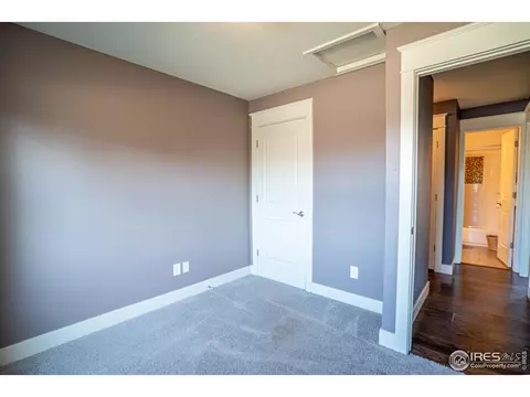 9 Orchid Ct, Windsor, CO 80550 photo 21