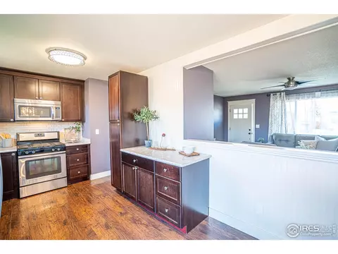 9 Orchid Ct, Windsor, CO 80550 photo 14