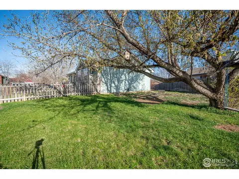 9 Orchid Ct, Windsor, CO 80550 photo 38