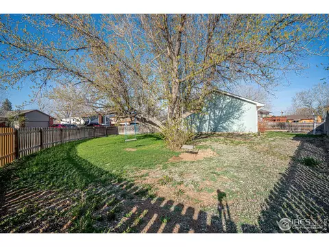 9 Orchid Ct, Windsor, CO 80550 photo 37