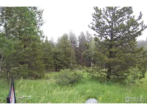 167 Jed Smith Rd, Ward, CO 80481 photo 4