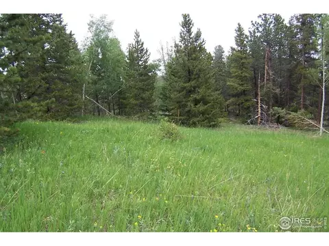 167 Jed Smith Rd, Ward, CO 80481 photo 2