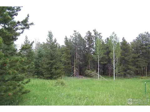 167 Jed Smith Rd, Ward, CO 80481 photo 3
