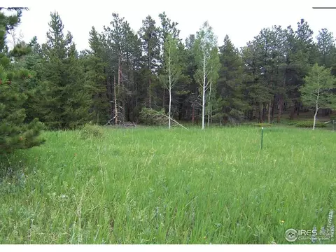 167 Jed Smith Rd, Ward, CO 80481
