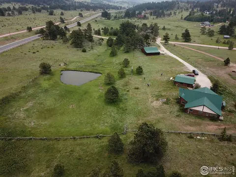 1317 Iron Mountain Dr, Livermore, CO 80536