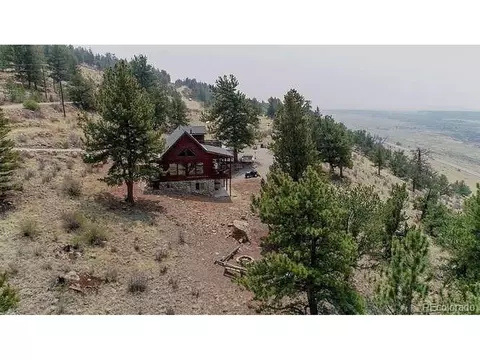 1995 Bonell Dr, Fairplay, CO 80440