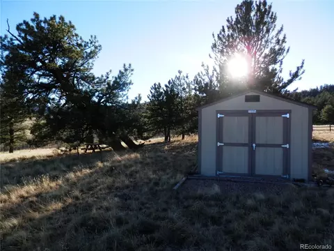 132 Sickel Ct, Hartsel, CO 80449