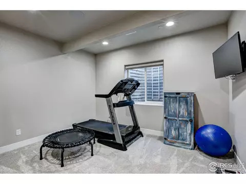 2168 Reliance Ct, Windsor, CO 80550 photo 28