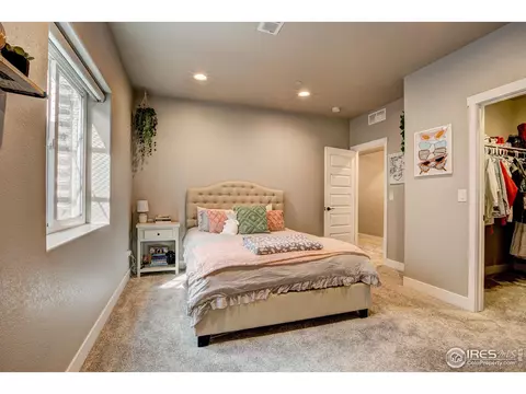 2168 Reliance Ct, Windsor, CO 80550 photo 23