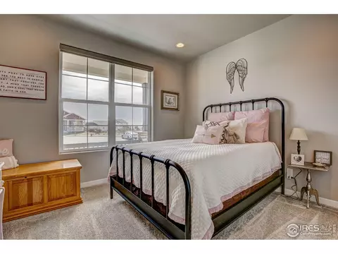 2168 Reliance Ct, Windsor, CO 80550 photo 8