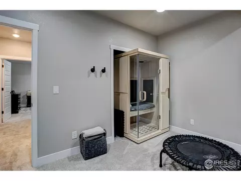 2168 Reliance Ct, Windsor, CO 80550 photo 29
