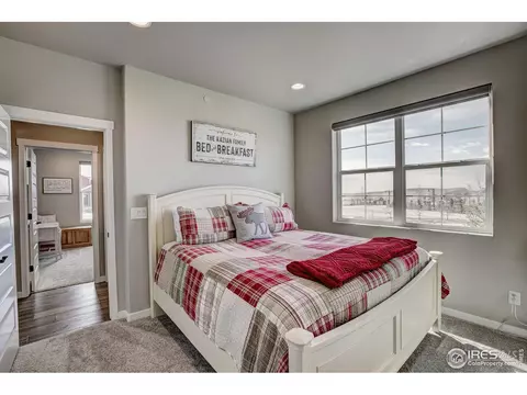 2168 Reliance Ct, Windsor, CO 80550 photo 10