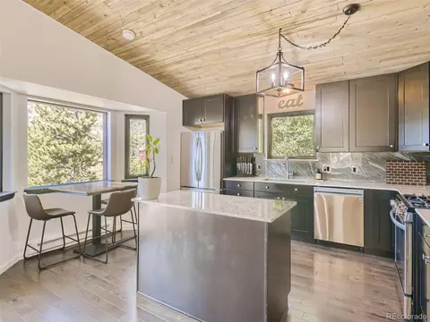 163 Silver Springs Rd, Bailey, CO 80421 photo 7