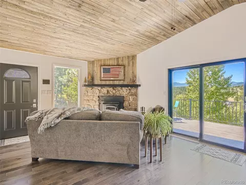 163 Silver Springs Rd, Bailey, CO 80421 photo 3