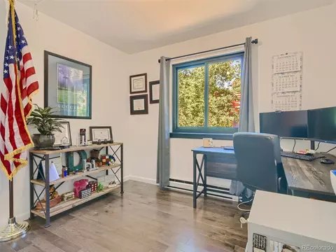 163 Silver Springs Rd, Bailey, CO 80421 photo 13