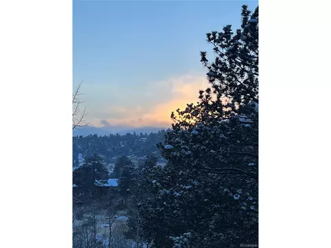163 Silver Springs Rd, Bailey, CO 80421 photo 33
