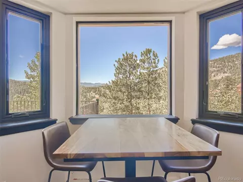 163 Silver Springs Rd, Bailey, CO 80421 photo 6