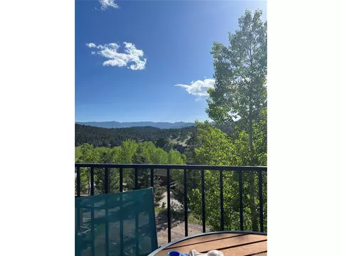 163 Silver Springs Rd, Bailey, CO 80421 photo 31