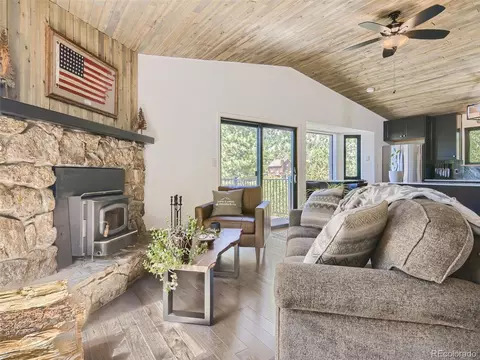 163 Silver Springs Rd, Bailey, CO 80421 photo 4