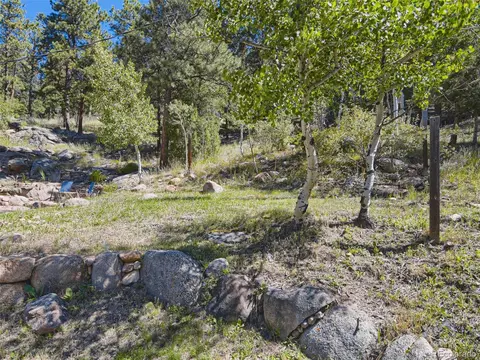 163 Silver Springs Rd, Bailey, CO 80421 photo 23