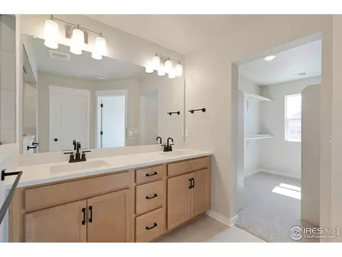 4487 Haymill Ct, Timnath, CO 80547 photo 18