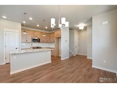 4487 Haymill Ct, Timnath, CO 80547 photo 7