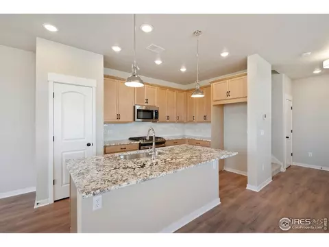 4487 Haymill Ct, Timnath, CO 80547 photo 9