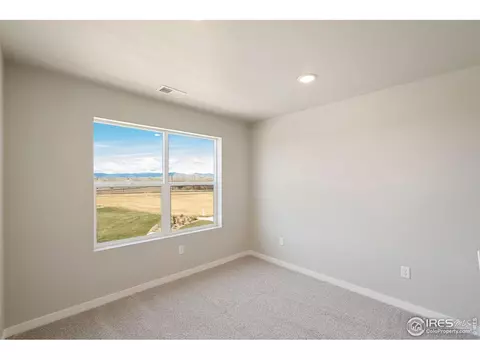 4487 Haymill Ct, Timnath, CO 80547 photo 15