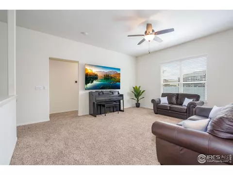 309 Shadowbrook Dr, Windsor, CO 80550 photo 6
