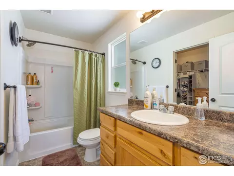 309 Shadowbrook Dr, Windsor, CO 80550 photo 15